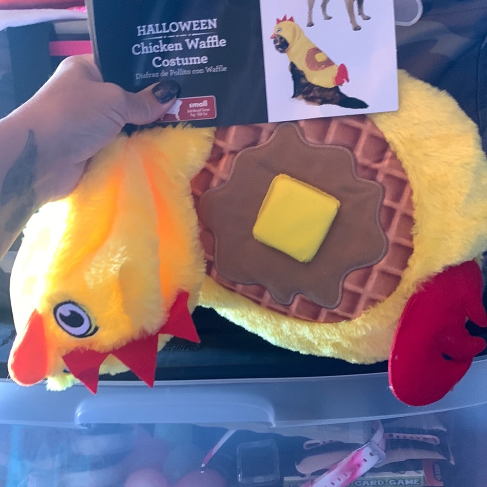 Dog costume